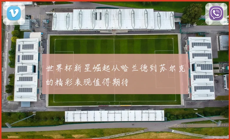 世界杯新星崛起从哈兰德到苏尔克的精彩表现值得期待