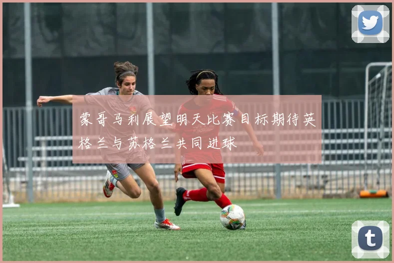 蒙哥马利展望明天比赛目标期待英格兰与苏格兰共同进球